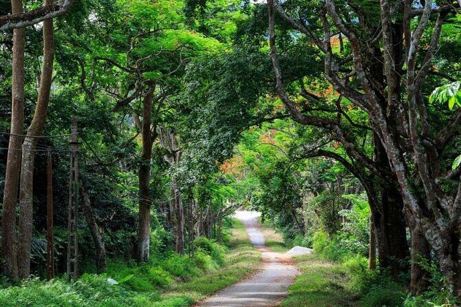 Cuc Phuong National Park and Bear Sanctuary Full Day Tour - Visiting Ninh Binh Bear Sanctuary