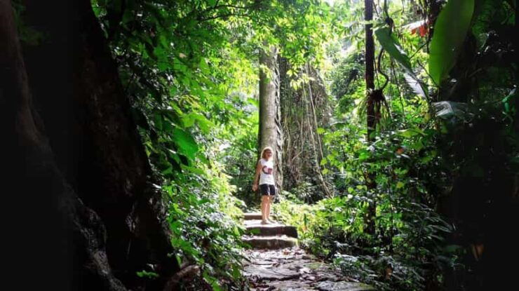 Cuc Phuong National Park Group Day Tour In Ninh Binh - Overview of the Tour
