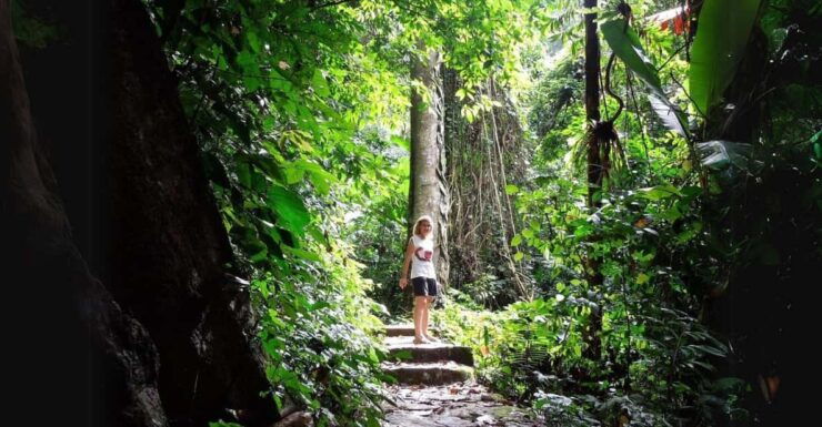 Cuc Phuong National Park Group Day Tour In Ninh Binh - Pricing Details