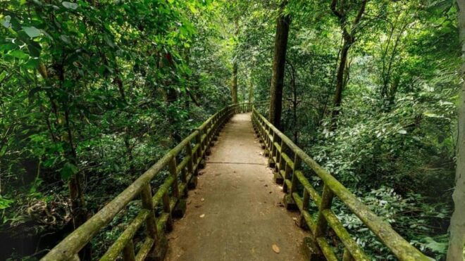 Cuc Phuong National Park Group Day Tour In Ninh Binh - Inclusions and Exclusions