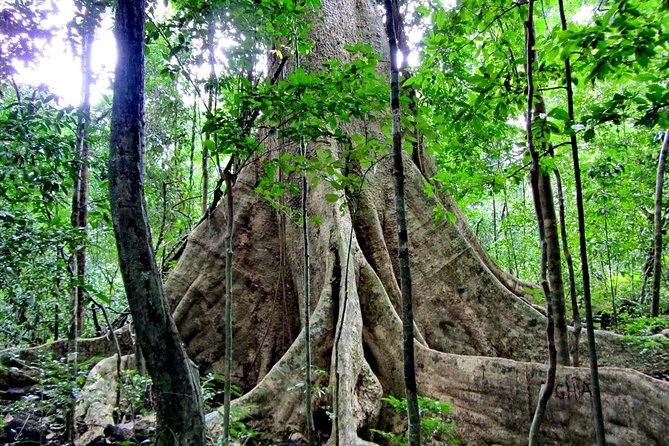 Cuc Phuong National Park - Ninh Binh - Common Questions