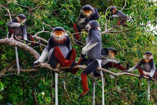 CUC Phuong National Park One Day Small Group - What Makes This Tour Stand Out?