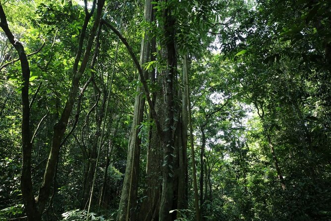 Cuc Phuong National Park Private Day Tour: Trekking & Primates - Booking and Cancellation Policies