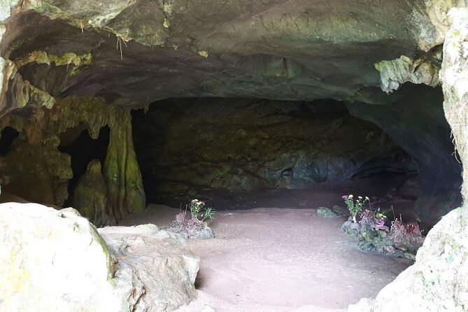 Cuc Phuong National Park Private Day Tour: Trekking & Primates - Common Questions