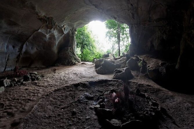 Cuc Phuong National Park Private Day Tour: Trekking & Primates - The Sum Up