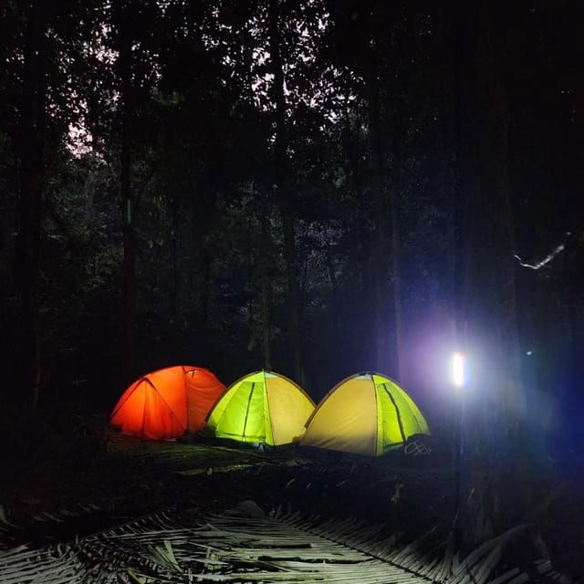 Cuc Phuong National Park: Trek & Camp in Jungle 2 Days - Good To Know