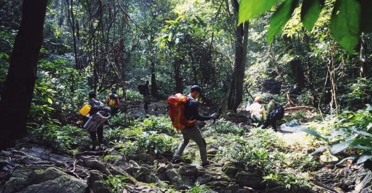 Cuc Phuong National Park: Trek & Camp in Jungle 2 Days - Highlights of the Trekking Experience