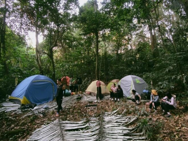 Cuc Phuong National Park: Trek & Camp in Jungle 2 Days - Inclusions and Whats Covered