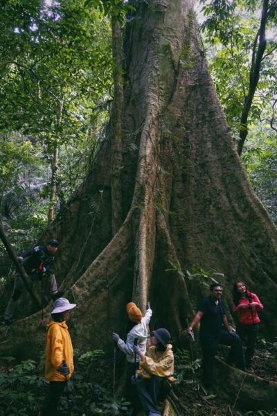Cuc Phuong National Park: Trek & Camp in Jungle 2 Days - Safety Considerations