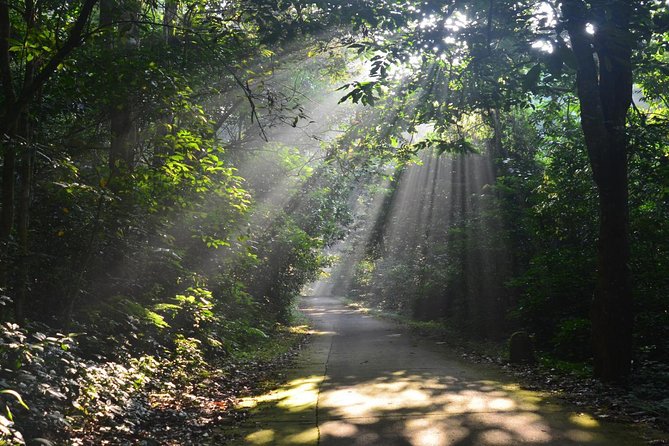 Cuc Phuong National Park Trekking Day Trip - Tour Pricing and Booking