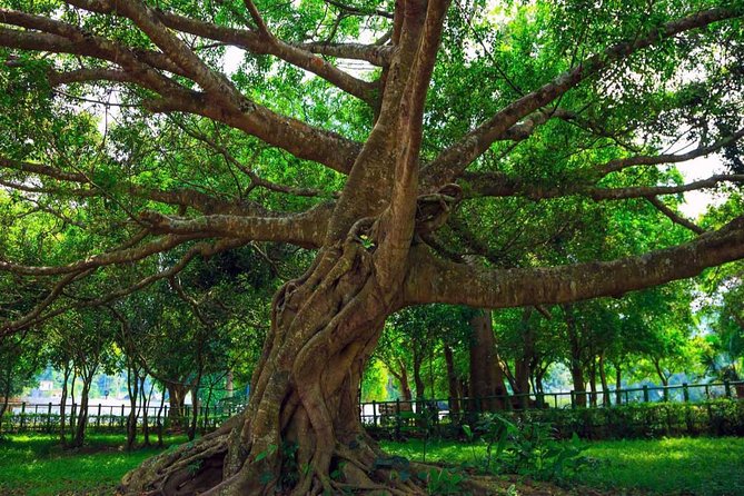 Cuc Phuong National Park Trekking Day Trip - Endangered Primate Rescue Centre Visit