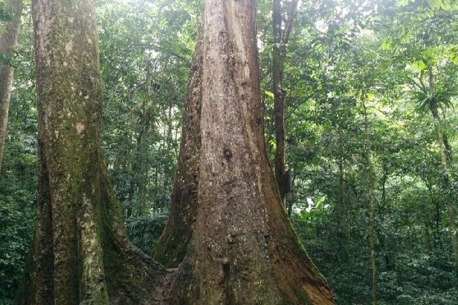 Cuc Phuong National Park Trekking: Private Day Tour From Hanoi - Activity Duration