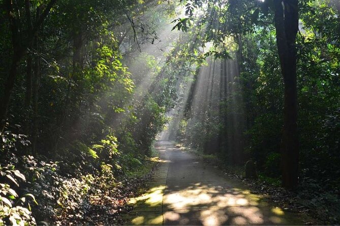 Cuc Phuong National Park Trekking: Private Day Tour From Hanoi - Directions to Cuc Phuong National Park