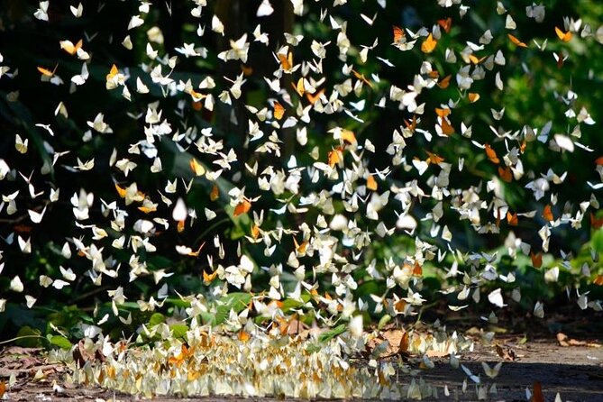 Cuc Phuong National Park Trekking: Private Day Tour From Hanoi - Highlights of the Trekking Tour