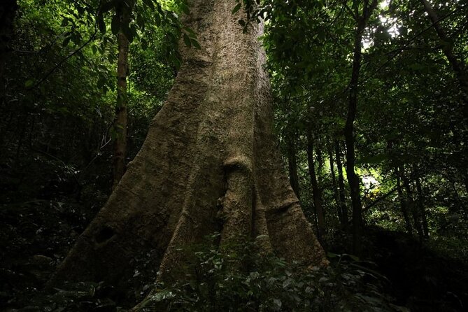 Cuc Phuong National Park Trekking: Private Day Tour From Hanoi - Common Questions