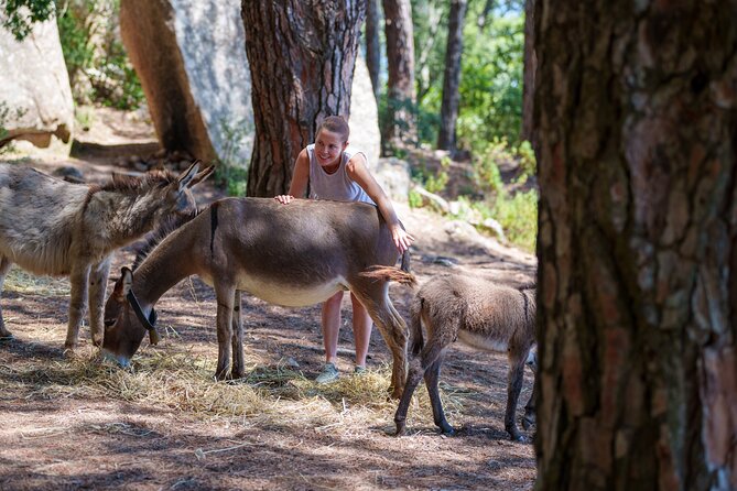 Cuddling and Picnic With Donkeys at Monte Cresia - Pricing and Reviews