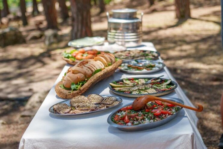 Cuddling and Picnic With Donkeys at the Monte Cresia - Experience Highlights