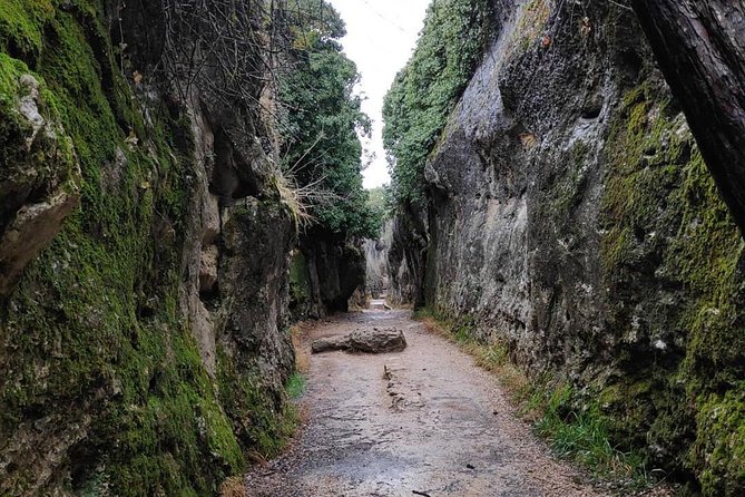 Cuenca Small-Group Tour to Ciudad Encantada and Devils Window - Common Questions
