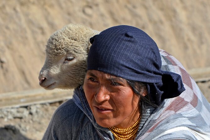 Cuenca to Quito 4 or 5 Day Tour With Chimborazo, Quilotoa, Baños and Cotopaxi. - Booking and Pricing Information