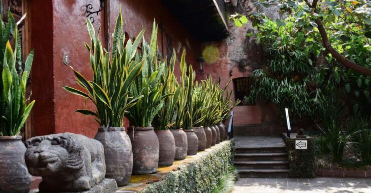 Cuernavaca: Robert Brady Museum Entrance Tickets - Good To Know
