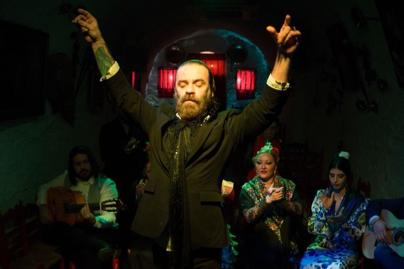 Cuevas Los Tarantos flamenco show in Sacromonte - Choosing a ticket: drink, dinner, or transport