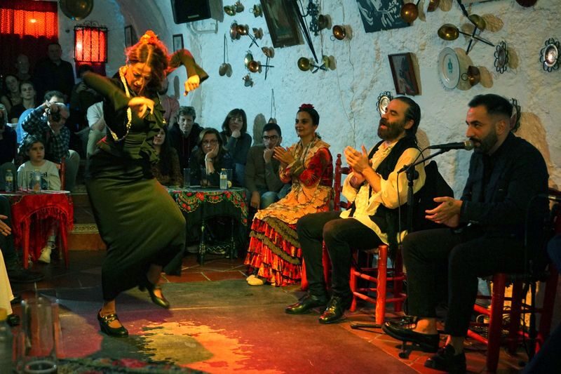 Cuevas Los Tarantos flamenco show in Sacromonte - Is it a good choice with children or access needs?