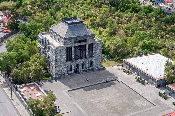 Cuicuilco Ruins, Xochimilco Boat Ride & Diego Rivera Museum. - Who Should Book This Tour?