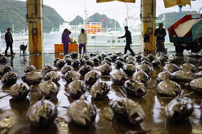 Cuisine of Nachikatsuura and Kumano - Final Thoughts