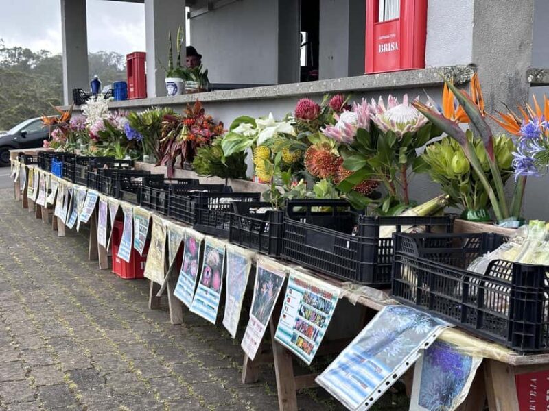 CULINARY "FOOD & (E) BIKE TOUR - FAQ