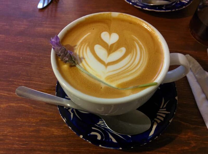 Culinary Tour: San Miguel One Bite at a Time - The Practical Details: How It Works