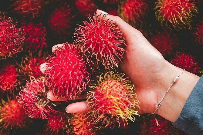 Culinary Tour Sri Lanka ( 10 N/ 11 D) - Culinary Experiences