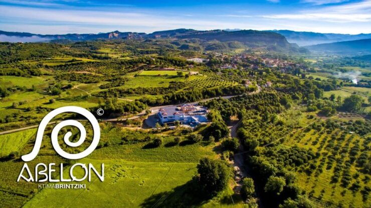 Culinary Treasures: Private Olive Oil and Wine Tasting Tour - Activity Availability and Flexibility