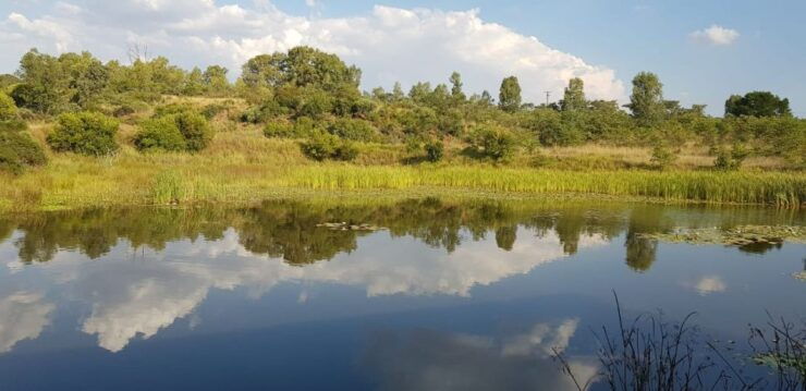 Cullinan: Muningi Gorge Adventure Trail Hike - Pricing and Duration