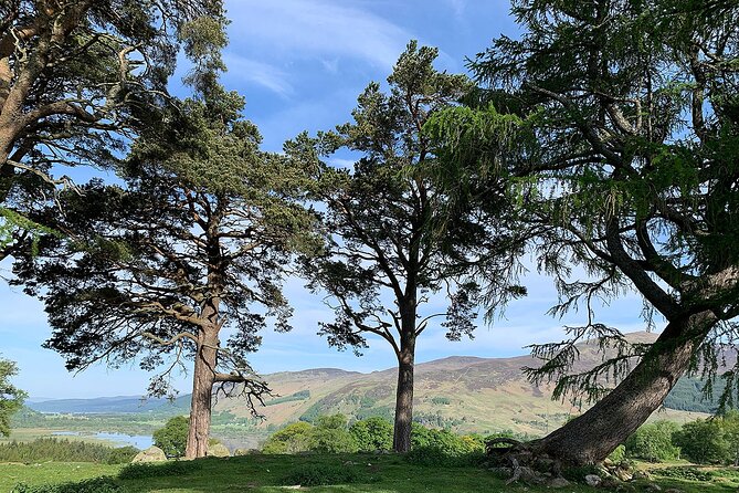 Culloden and Craigh Na Dun Outlander Day Tours From Edinburgh - Reviews and Ratings