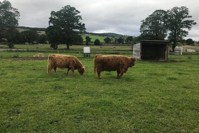 Culloden Battlefield, Clava Cairns and Loch Ness, Urquhart Castle - Tour Highlights