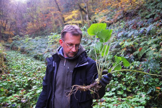 Cultivate Organic WASABI - Traditional Culinary Insights