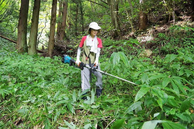 Cultivate Organic WASABI - Water-Grown Wasabi in Hikimi
