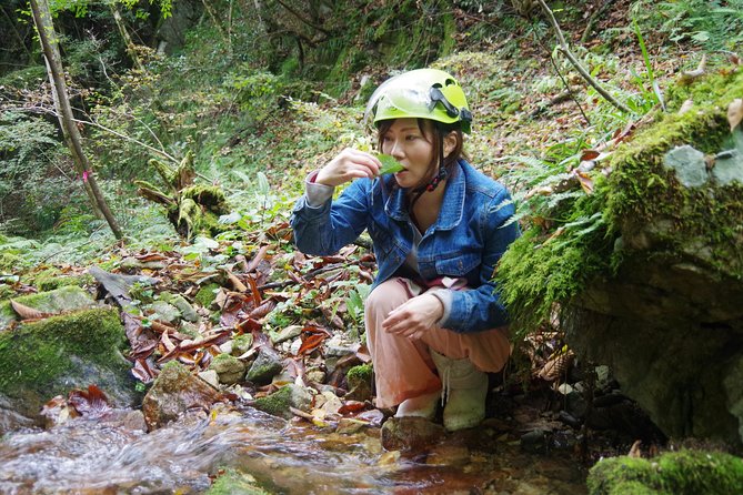 Cultivate Organic WASABI - Inclusions and Recommendations