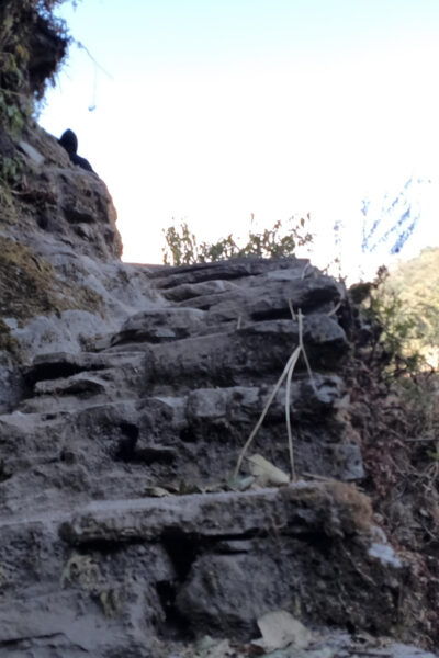 Cultural and Scenic Wonders: Pokhara to Sikles Journey Trek - Questions You May Have