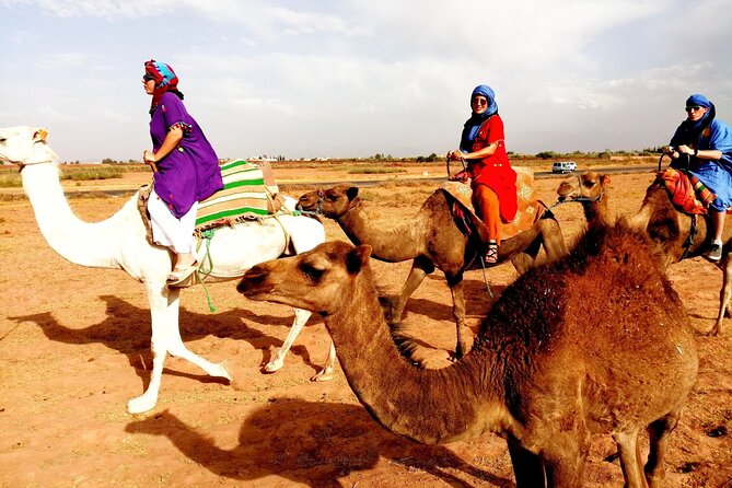 Cultural Atlas Mountains and Agafay Desert Day Trip With Camel Ride - Cancellation Policy Information