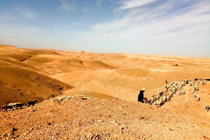 Cultural Atlas Mountains and Agafay Desert Day Trip With Camel Ride - Tour Inclusions and Highlights