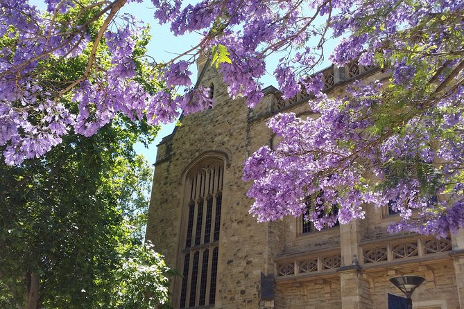 Cultural Caper Adelaide Walking Tour - Visitor Reviews