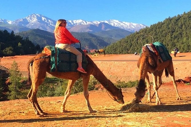 Cultural Day Tour to the Atlas Mountains & Berber Villages From Marrakech - Price and Cancellation Policy