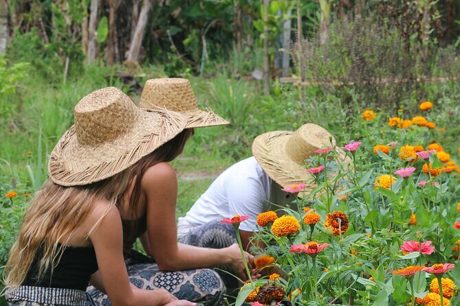 Cultural Experience Balis Ancient Kingdom - A Closer Look at the Tour Experience