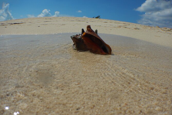Cultural Fishing Experience in Bimini Bahamas - What to Expect