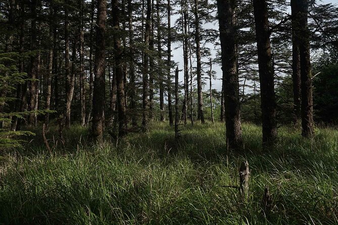 Cultural Immersion & Holistic Wellbeing on Haida Gwaii - Good To Know