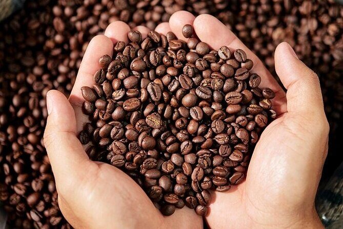 Cultural Immersion in Cacao and Coffee in the Southern Sierra of Oaxaca - Final Thoughts: Is This Tour Worth It?