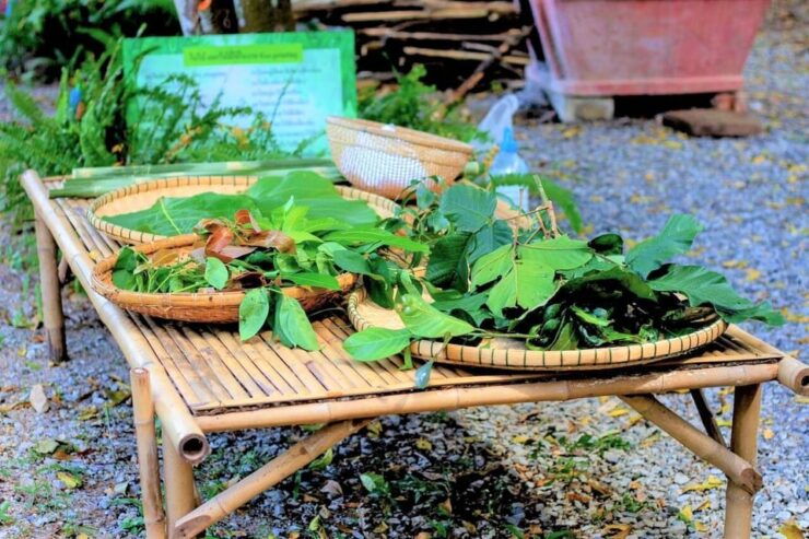Cultural Immersion: Thai Cooking, Rice Farming, Eco Printing - Itinerary Breakdown