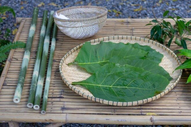 Cultural Immersion: Thai Cooking, Rice Farming, Eco Printing - Pricing and Booking Options