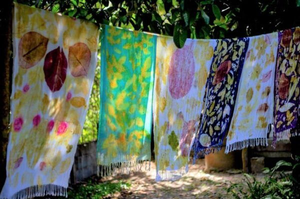 Cultural Immersion: Thai Cooking, Rice Farming, Eco Printing - Customer Reviews and Feedback